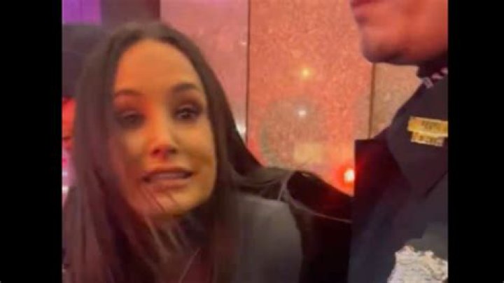 Why Was Adult Film Star Lisa Ann Arrested?