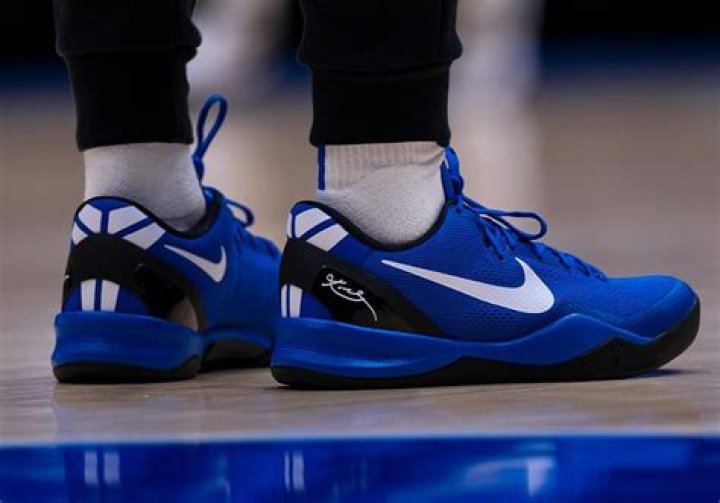 Zion Williamson's Game-Worn Duke Shoes Sell For Insane Amount At Auction