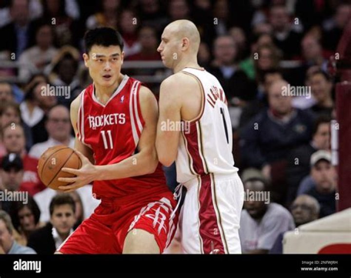 Zydrunas Ilgauskas (Basketball Player) - Age, Birthday, Bio, Facts, Family, Net Worth, Height & More